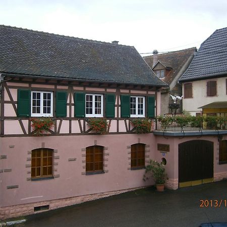 Gite Au Nid De Cigognes Villa Dieffenthal Exterior foto