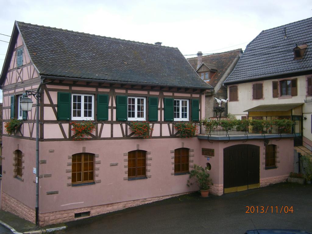 Gite Au Nid De Cigognes Villa Dieffenthal Exterior foto